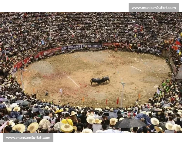 2026年最新斗牛比赛精彩纷呈 全球顶尖选手激烈角逐展现独特技巧